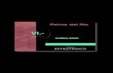Análisis - Palma del Río | Lucha y vence entre dos ríos · Plan Estratégico de la Ciudad de Palma del Río Análisis DAFO 224 Para presentar la información obtenida y tratada