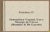 Sistemática Vegetal. Uso y Manejo de Claves (Bonnier & De ... PDF/Prácticas/Práctica 13... · Sistemática Vegetal. Uso y Manejo de Claves (Bonnier & De Layens) Uso de Claves Sinópticas