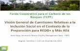 Fondo Cooperativo para el Carbono de los Bosques (FCPF) · marco de políticas coherentes en materia de salvaguardas