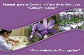Manual para el cultivo in vitro de la orquídea 'Cattleya ... · Manual para el Cultivo In Vitro de la Orquidea Cattleya nobilior “Flor símbolo de Concepción” Uniendo esfuerzos