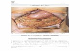 diseccioncusur.files.wordpress.com  · Web viewPeritoneo parietal (que forma las paredes de la cavidad peritoneal). ... El receso suprahepático: comprendido entre el hígado y el
