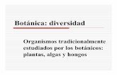 Organismos tradicionalmente estudiados por los botánicos ...academic.uprm.edu/~dkolterman/biol3435/Caps17-19.pdf · Reino Protista + Dom. Bacteria Hongos (R. Fungi + R. Protista)