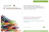 PROGRAMA INTEGRAL DE SUSTENTABILIDAD AMBIENTAL DEL …nV2(corr... · fundamentales de la misma; su complejidad en un mundo globalizado y el dinamismo (Martínez el al 2007). ... universitarios