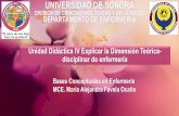 UNIVERSIDAD DE SONORA - enfermeria.uson.mxenfermeria.uson.mx/wp-content/uploads/2018/01/Unidad_didactica_IV... · teorías de situación específica, incluyendo esfuerzos para relacionar