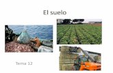 Recursos de la biosfera - CEPA Los Llanos, Albacetecepa-losllanos.centros.castillalamancha.es/sites/cepa-losllanos... · Recursos Biosfera 2 Recursos de la biosfera Suelo Vegetación
