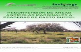 RECONVERSIÓN DE ÁREAS AGRÍCOLAS MARGINALES A … · Folleto para productores Núm. 36 San Luis Potosí, S.L.P., México. Enero de 2002 . CONTENIDO ... porcentajes de germinación