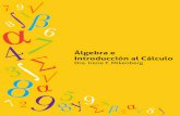Álgebra e Introducción al Cálculo · Álgebra e Introducción al Cálculo Dra. Irene F. Mikenberg Facultad de Matemáticas Pontiﬁcia Universidad Católica de Chile 2 de enero