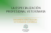 La especialización profesional veterinaria - COLVEMA · SITUACIÓN ACTUAL • La Veterinaria es una profesión especializada. • No existe ninguna regulación oficial en el “post