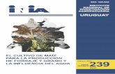 EL CULTIVO DE MAÍZ - inia.uy compartidos/st-239-2018.pdf · el cultivo de maÍz para la producciÓn de forraje y grano y la influencia del agua febrero, serie239 2018 tÉcnica inia