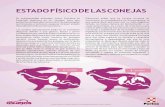 Full page fax print · Los Cecotrofos son verdaderos nutrientes ya que contienen en 30% de proteína en base seca, contiene aminoácidos esenciales como la lisina ytreonina, ...