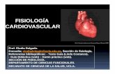FISIOLOGÍA CARDIOVASCULAR - ucla.edu.ve Delgado... · CARDIOVASCULAR Características anatomo-funcionales del sistema cardiovascular.. Anatomía funcional del sistema cardiovascular.
