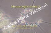 Microscopía dixital 2 - cpvalcarcel.files.wordpress.com · Campo escuro e luz de Rheinberg •O diafragma do condensador ábrese totalmente. •Utilizamos o máximo de potencia de