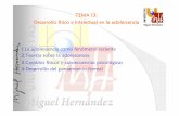 TEMA 13: Desarrollo fDesarrollo fíííísico e intelectual en ...umh1012.edu.umh.es/wp-content/uploads/sites/37/2013/03/Tema-13.pdf · ADOLESCENCIA FENOMENO RECIENTE Etapa de transición