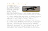 Los Caballos Mustang - esperanzamc.files.wordpress.com  · Web viewAunque sí que existieron, hace miles de años, caballos autóctonos de la zona, se ha comprobado que éstos se
