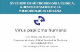 XV CURSO DE MICROBIOLOGIA CLINICA: NUEVOS … · Pruebas de laboratorio de tamizaje en la prevención del cáncer cervicouterino Tamizaje de HPV de alto ... del ADN mediante la reacción