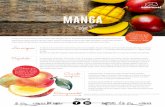 FichaProduto Manga footer ES - sonatural.pt · MANGA El mango es el fruto de un árbol que recibe el mismo nombre (Mangifera indica L.). Es un árbol frutal de la familia Anacardiaceae,