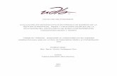 FACULTAD DE POSGRADO EVALUACIÓN EN MICROSCOPIA …dspace.udla.edu.ec/bitstream/33000/7071/1/UDLA-EC-TEMRO-2017-11.pdf · del grado de adhesión entre los materiales de restauración