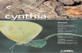 cynthia - Catalan Butterfly Monitoring Scheme · 47 Granja d’Escarp 48 Sebes 49 Sant Boi 50 Talaia del Montmell 51 El Pinetell 5 2 D e s m b o c a du r a del Gaià 53 Vallforners