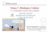 Tema 7. Biología Celular - dpbiologia.weebly.comdpbiologia.weebly.com/.../5/5/21553524/...a_las_células__2017-19.pdf · Idea Fundamental: La evolución de los organismos multicelulares