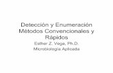 Detección y Enumeración Métodos Convencionales y Rápidos · metodos de deteccion copy.ppt Author: Esther Vega Created Date: 2/14/2008 7:29:56 PM ...