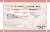 LA PRODUCCION DE CACAO EN MEXICO - Infocafes – El … · cultivarse el árbol de cacao, si se desea tener seguridad de una buena . La producción del cacao en México FCA UNAM |