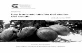 Boletín 9 actualización cacao - Coordinadora Estatal de ...comerciojusto.org/wp-content/uploads/2011/12/B9_OCT_Cacao.pdf · mayoría de la producción de cacao es realizada por