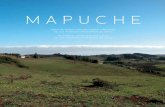 MAPUCHE - fucoa.cl · actualmente por el Estado, incorporando sus relatos, cosmovisión e historia. Todos los textos han sido traducidos al inglés y en los casos de aymara, quechua,