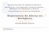 Experiencia de Anvisa en biológicos - Home - Pan American ...new.paho.org/hq/dmdocuments/2008/DOR_Biologicos_Brasil.pdf · 1999-Ley 9782- Creación de ANVISA Biológicos RDC 80 de