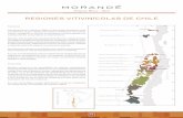 REGIONES VITIVINÍCOLAS DE CHILE - Morandé | Espíritu ... · historia Viña Morandé fue fundada en 1996 con el propósito de elaborar vinos innovadores y de gran calidad, enfocados