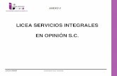 LICEA SERVICIOS INTEGRALES EN OPINIÓN S.C. ANEXO 2ieepco.org.mx/images/biblioteca_digital/PDFs/2016/4-Curriculum... · 100% Marketing. INSTITUCIONES Presidencia de la República.
