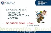El futuro de las ENERGIAS RENOVABLES en el PERU - IV …miguelhadzich.com/.../ppt-El-futuro-de-las...COBER-2010-M.-Hadzich.pdf · Una de las principales preocupaciones de Marengo