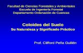 Coloides del Suelo - webdelprofesor.ula.vewebdelprofesor.ula.ve/forestal/clifford/materias/suelos/coloides2... · •Propiedades de los coloides •Tipos de coloides •Organización