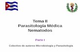 Tema II Parasitología Médica Nematodos - uvsfajardo.sld.cuuvsfajardo.sld.cu/sites/uvsfajardo.sld.cu/files/nematodos_parte_i.pdf · Enumerar las características morfológicas típicas.