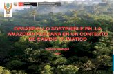 DESARROLLO SOSTENIBLE EN LA AMAZONÍA PERUANA EN …infobosques.com/portal/wp-content/uploads/2016/05/Expo_Otca9.pdf · el de realizado en octubre del 2000 donde se vertieron accidentalmente