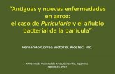 en arroz: el caso de Pyricularia y el añublo bacterial de la panícula”proarroz.com.ar/static/presentaciones/anublo-del-arroz-argentina... · enfermedades del arroz •Densidad