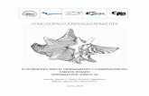 CFMC/COPACO /OSPESCA/CRFM/CITES · Tabla 1 Descriptores generales de la pesquería del caracol rosado ..... 25 Tabla 2 Variabilidad de las vedas del caracol rosado en el Gran Caribe