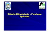 Cátedra Climatología y Fenología Agrícolasecaths1.s3.amazonaws.com/clima/590034244.FENOLOGÍA 1ª Parte.pdf · Etapas de desarrollo de la planta de soja B -Descripción de las