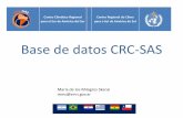 Base de datos CRC-SAS filemms@smn.gov.ar . cada país miembro del CCR -SSA el CCR -SSA Base de datos CCR-SSA Actualización ... Brasil 83 Paraguay 23 Uruguay 7 Bolivia 17 Chile ...