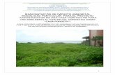 MANIFESTACIÓN DE IMPACTO AMBIENTAL MODALIDAD …sinat.semarnat.gob.mx/dgiraDocs/documentos/gro/estudios/2010/12GE... · p1/2 y 434 z-3 p1/2 y; 4, ... manifestaciÓn de impacto ambiental