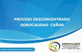 PROCESO DESCONCENTRADO AGROCALIDAD CAÑAR · de bodegas de cacao registradas inspecciones en sala postcosecha inspecciones de banano en finca protocolos fitosanitarios certificados