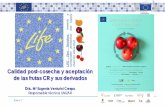 Calidad post-cosecha y aceptación de las frutas CR y sus ...ceroresiduos.eu/upload/file/2presentation_meugenia-venturini_comp.pdf · Slide n°12 Recomendaciones para la conservación