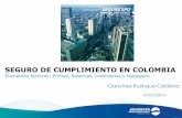 SEGURO DE CUMPLIMIENTO EN COLOMBIA - gob.mx · Primas y tarifas 7. Comisiones 8. Reservas técnicas 9. Reaseguro TEMARIO . To add pre-formatted bullet text please use the Increase/Decrease