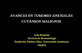AVANCES EN TUMORES ANEXIALES CUTÁNEOS MALIGNOS …Luis+Requena.pdf · •Neoplasias benignas: -Siringocistoadenoma papilífero -Adenoma papilar -Tumor mixto cutáneo -Poroma -Hidradenoma