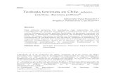 Teología feminista en Chile: actores, prácticas, discursos ... · cadernos pagu (50), 2017:e175012 Teología feminista en Chile Feminist Theology in Chile: Agents, Practices, Political