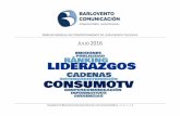ANÁLISIS MENSUAL DEL COMPORTAMIENTO DE LA AUDIENCIA ... · Máximo de la murciana La7 TV (2.8%). Mínimos de la catalana TV3 (10.1%) y la balear IB3 (2,9%).
