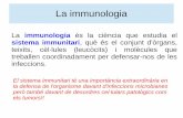 La immunologia - COSMOLINUXcosmolinux.no-ip.org/recursos_aula/BIO2nBAT/Immunologia/Proces... · La immunologia La immunologia és la ciència que estudia el sistema immunitari, què