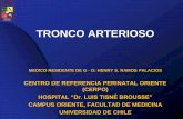 TRONCO ARTERIOSO - cerpo.cl · tronco arterioso medico residente de g - o: henry s. ramos palacios centro de referencia perinatal oriente (cerpo) hospital “dr. luis tisnÉ brousse”