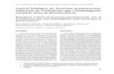 Control biológico de Fusarium graminearum utilización de ...bdigital.uncu.edu.ar/objetos_digitales/7357/04-perniola-rca46-2.pdf · 1 Instituto Fitotécnico de Santa Catalina, Facultad