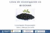 Línea de investigación en BIOCHAR - unizar.es · •Reducción de las emisiones de CO 2 (ciclo negativo de C) Sohi, S.; et al. Biochar, Climate Change and Soil: A Review to Guide