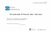 Treball Final de Grau - UBdiposit.ub.edu/dspace/bitstream/2445/63147/1/TFGQ_Soler Maspons.pdf · Treball Final de Grau Synthesis of antibiotic cyclopeptides Síntesi de ciclopèptids